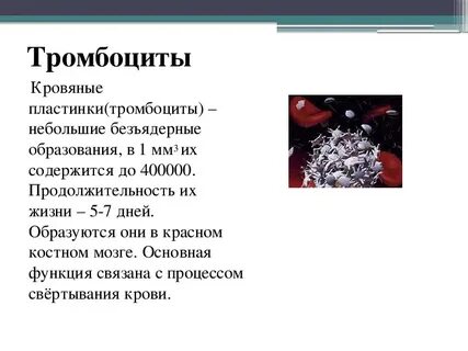 Срок жизни тромбоцитов