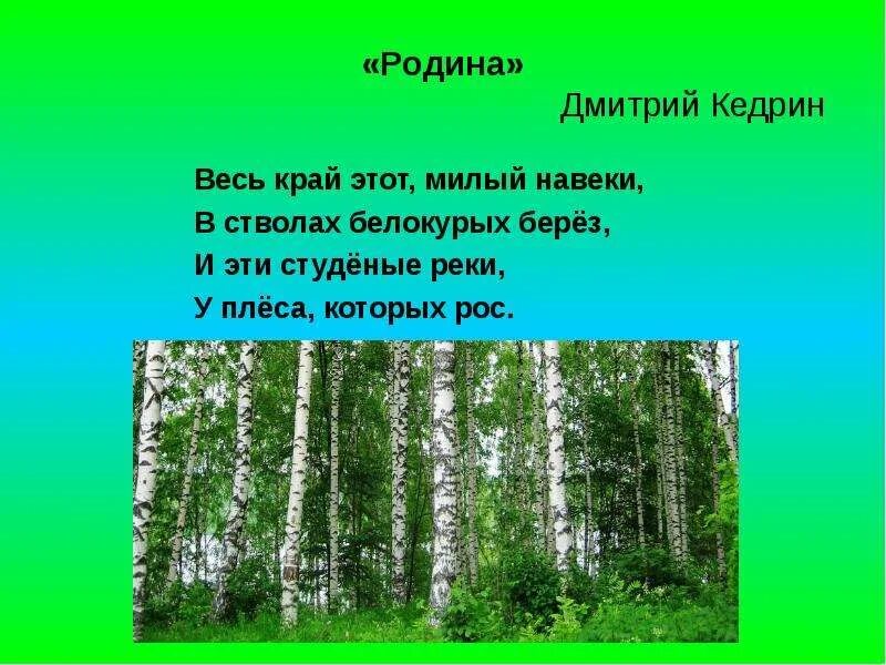 И был этот край