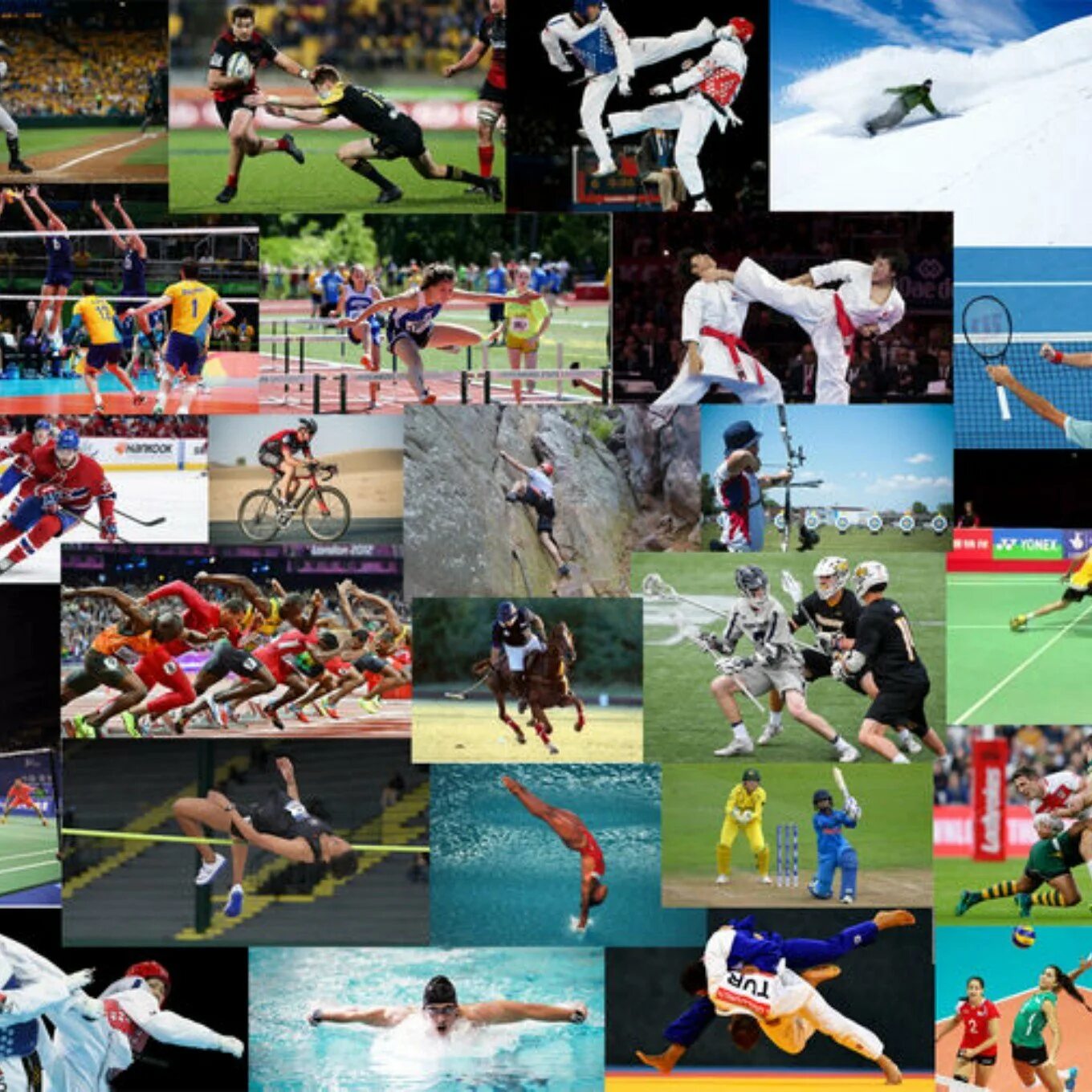 Спортивные игры. Коллаж с разными видами спорта. Такой разный спорт. Спорт. Спортивные игры.