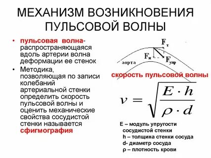 Скорость пульсовой волны