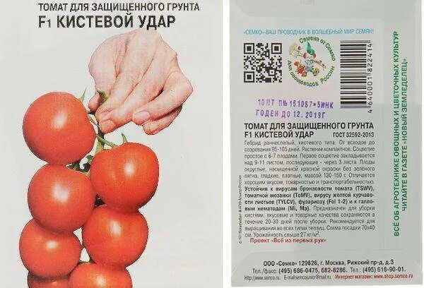 Томат кистевой характеристика и описание сорта фото