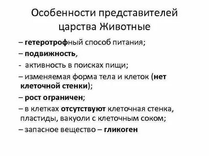 Особенности 5 класса характеристика