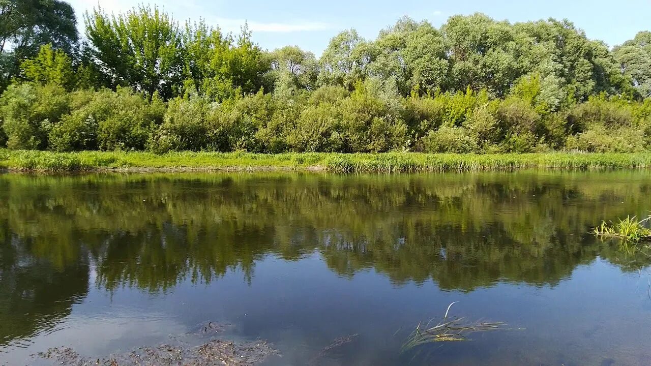 Река Сейм Курск. Льгов река Сейм. Река Сейм Рыльский район. Р. Сейм г. Льгов.