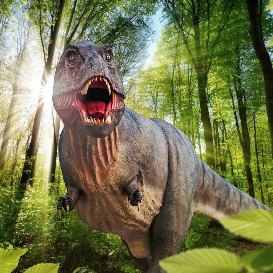 Видео про настоящих динозавров. Dino valley тираннозавр. Тираннозавр парк юрского периода. Видео про настоящих динозавров. Динозавры настоящие.
