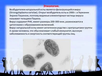 Вирус натуральной оспы