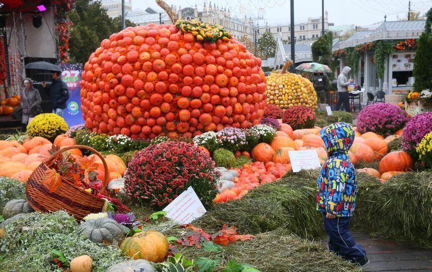 Осенние ярмарки в 2025г