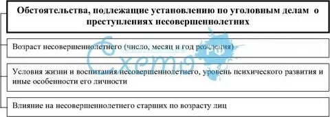 Обстоятельства уголовного дела