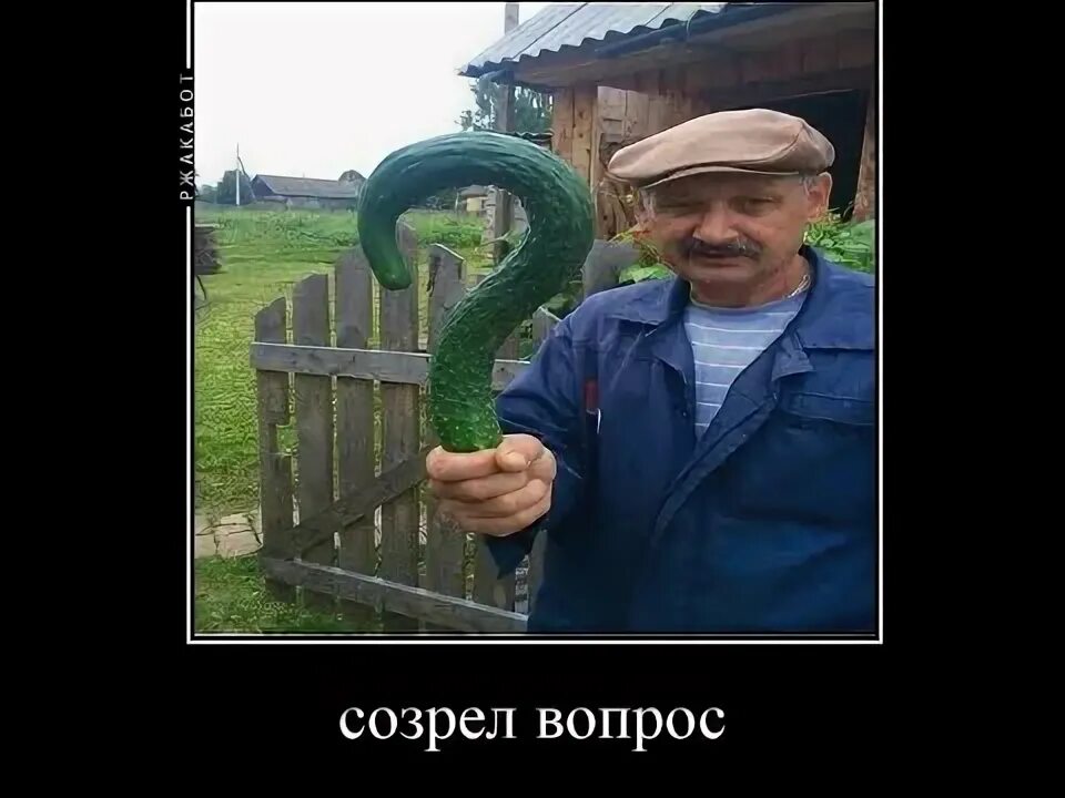 Ребята не рвите дайте дозреть мем Ребята не рвите дайте дозреть