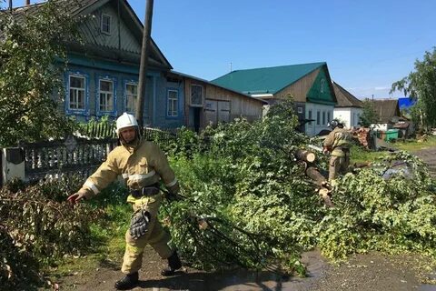 Прогноз погоды в кушве на месяц