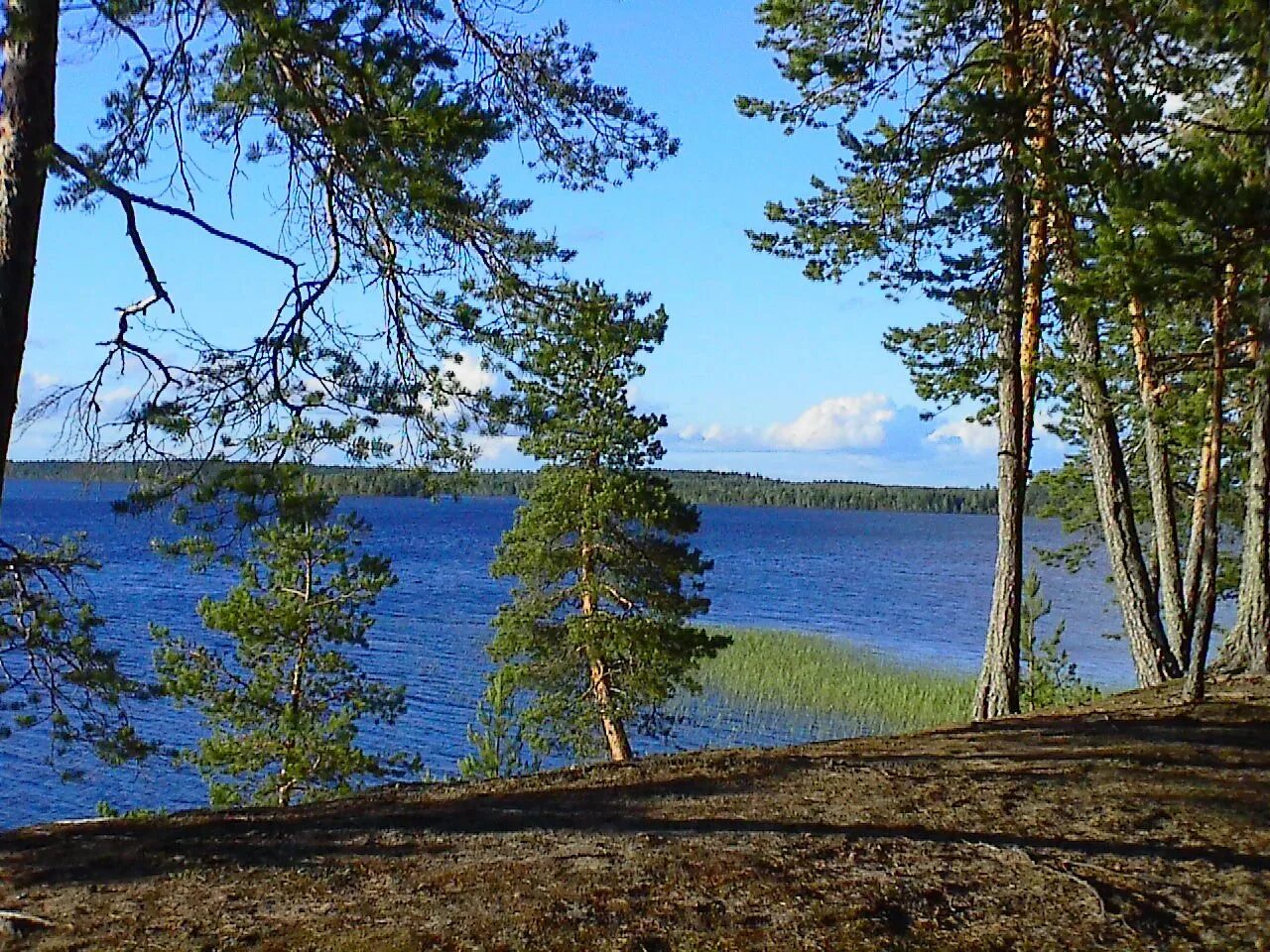 Озеро Онега Вологодская область. Озеро ветренное Приозерский район. Воттомукс озеро Карелия. Озеро круглое Приозерский район.