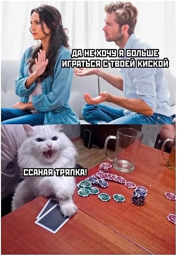 Мемы на сегодняшний день. Мемы сегодняшнего дня свежие. Мемы сегодняшнего дня свежие. Мемы 2022 смешные. Прикольные мемы с надписями.