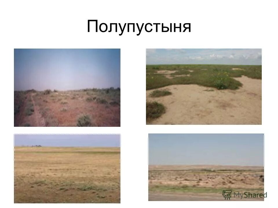Полупустыни тип почвы. Почвы полупустынь. рельеф полупустынь. почвы полупустынь в россии. почвы зоны полупустынь.
