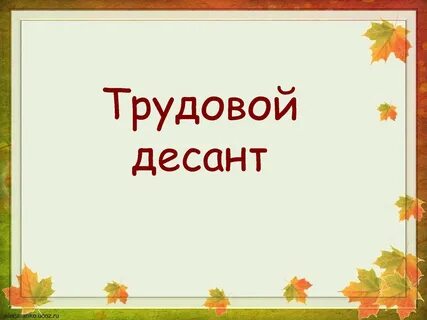 Конспект трудового десанта