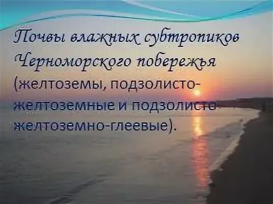 Черное море климат субтропический. Субтропический океанический климат. Субтропики географическое положение. Субтропики черноморского побережья кавказа. Субтропики доклад.