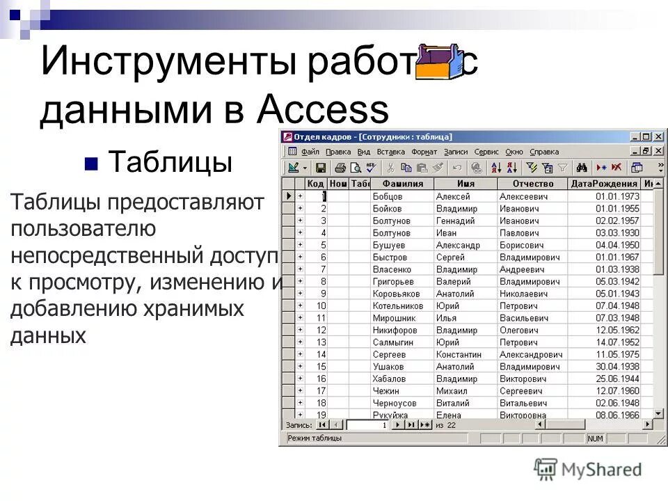 В каких элементах таблицы хранятся базы данных. Примеры табличных баз данных. Ms access таблица. Объект бд таблица. Структура таблицы access.