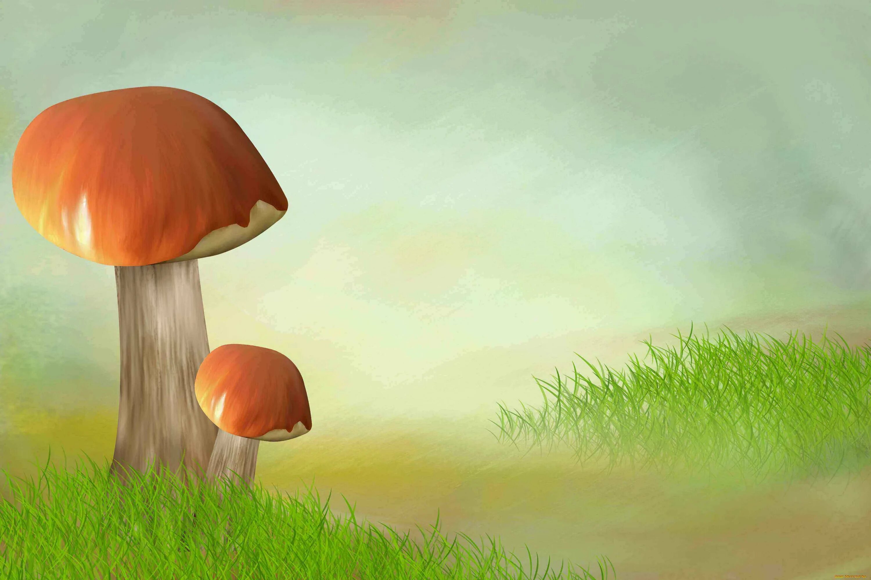 Проект лес грибы. Опасные несъедобные грибы. Проект лес грибы. Грибы презентация. Несъедобные лесные грибы.