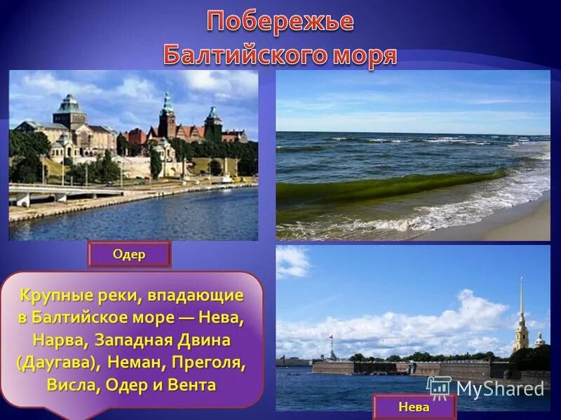 бассейн реки неман. карта бассейна реки неман. бассейн реки неман. канал между рекой неман и вислый. река неман с притоками на карте.