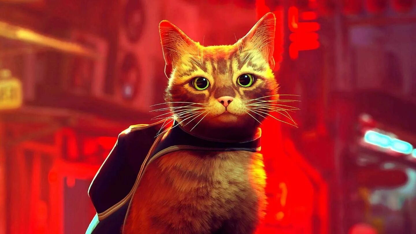Крутые котики игра. Stray игра про кота. игра про кота 2025 stray. стрей кошачий киберпанк. кот киберпанк.