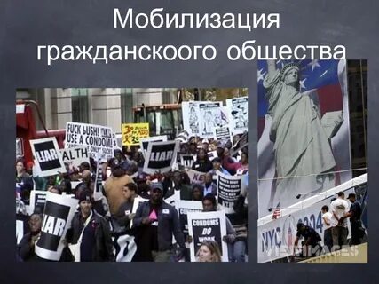Политическая мобилизация