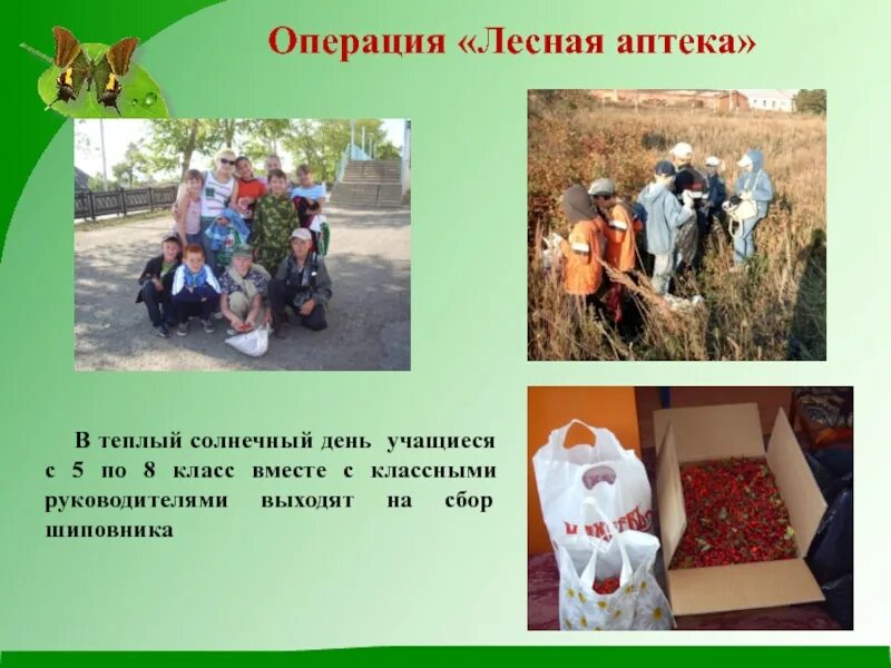 Подготовить сообщение об одном экологическом дне