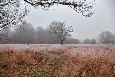 Погода была ужасная стояла поздняя осень