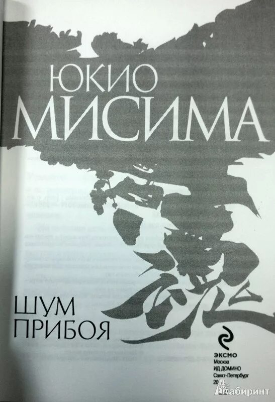 Мисима шум прибоя. Юкио мисима "исповедь маски". Шум прибоя книга. Юкио мисима книги. Юкио мисима шум прибоя.