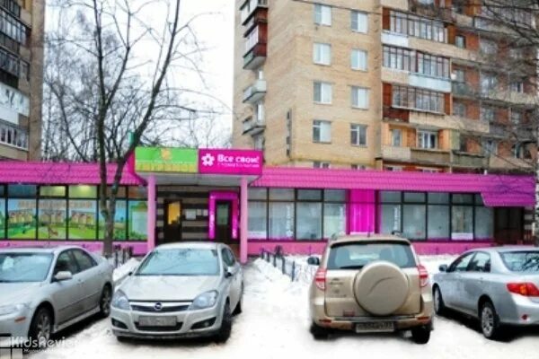 9 я парковая 8а. 9 парковая 61к1. Ул 9 парковая москва. Ул. Парковая 9 щелково.