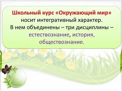 Курсы окружающий мир