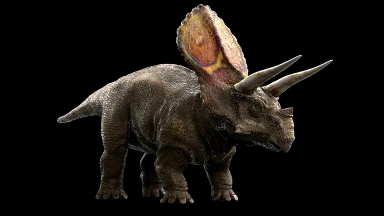 Цератопсы. Торозавр Трицератопс. Torosaurus динозавр. Торозавр цератопсиды. Трицератопс 3д.