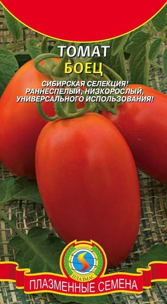 Сорт томатов боец отзывы. Сибирская селекция томат буян. семена томат боец (буян). сорт помидор боец буян. помидоры боец буян сибирская селекции.