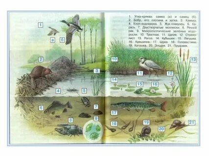 Список пресных вод