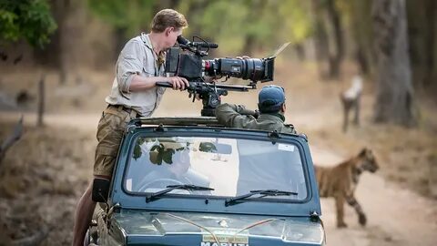 Wildlife documentary