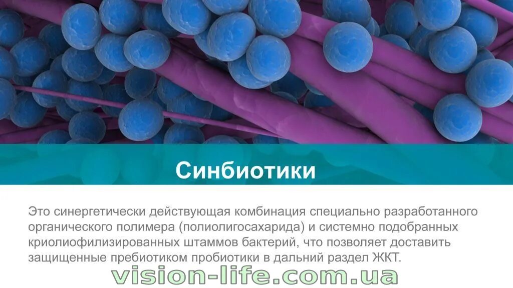 Синбиотик отзывы врачей. Синбиотики препараты. Пробиотики и синбиотики. Синбиотики список препаратов. Пребиотики и синбиотики разница.