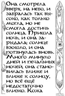 Читать 59 дней