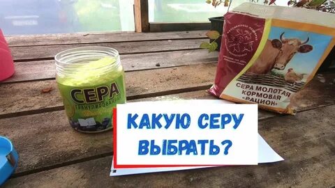 Сера под голубику