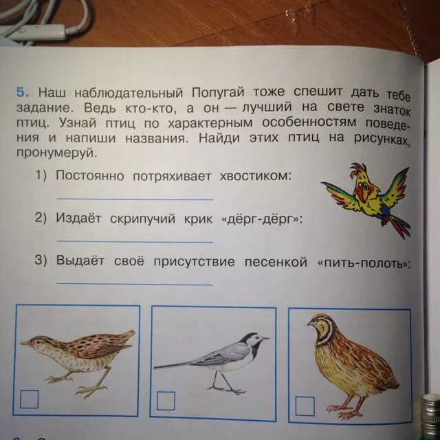 Наш наблюдательный попугай тоже спешит. Наш наблюдательный попугай тоже спешит дать тебе задание. Попугай молится. Наш наблюдательный попугай тоже спешит дать тебе. Наш наблюдательный попугай тоже спешит.