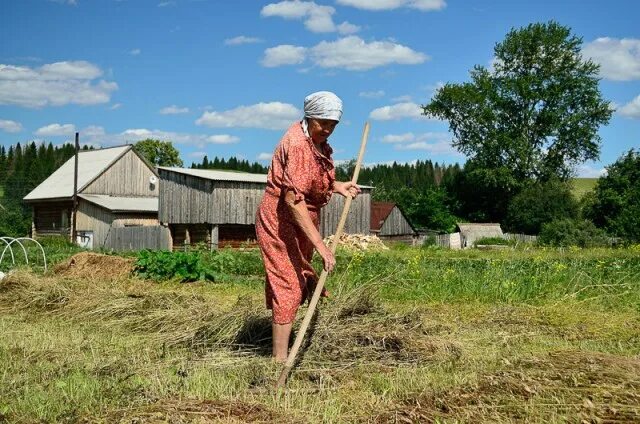 Шабындық және егістік жер сатылады жалпы көлемі 36га: 2 100 000 тг. - Продажа Ше