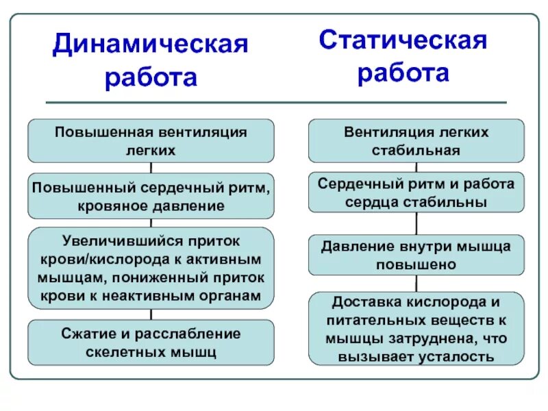 Динамическая нагрузка мышц. Динамическая и статическая работа. Динамическая и статическая работа мышц. Статическая и динамическая работа мышц примеры. Статистическая и динамическая работа мышц.