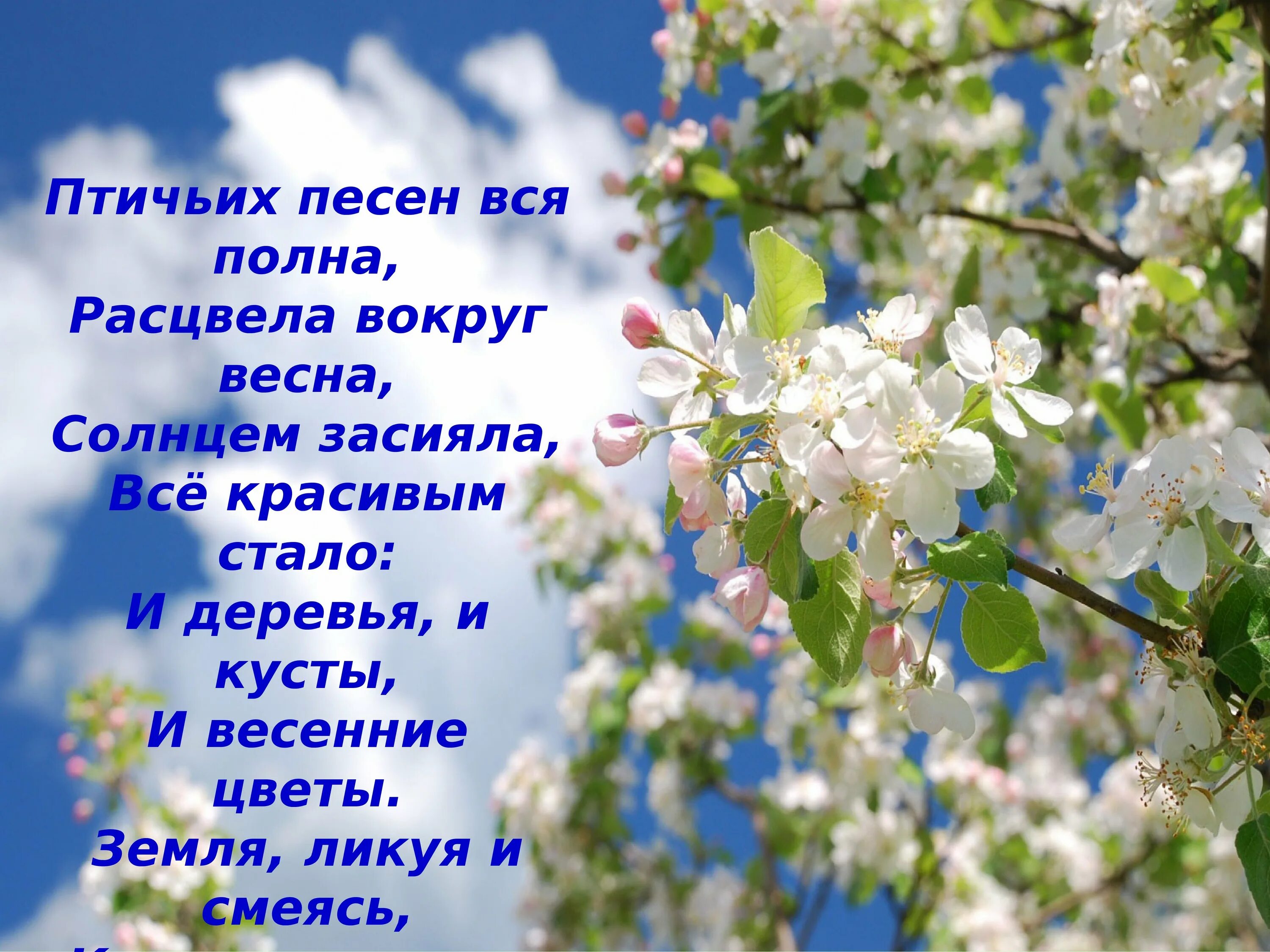 Цветущий сад стихи. Стих про весну. Весеннее стихотворение. Открытки со стихами о весне. Стихи о весне картинки.