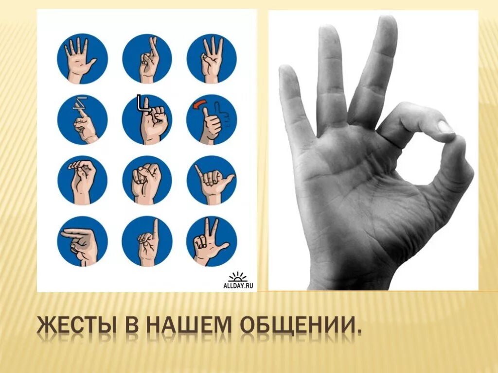 Представление информации.ppt