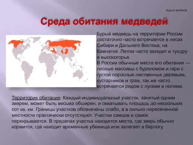 Ареал обитания бурого медведя. Ареал обитания бурого медведя. Ареал обитания медведей в россии. Ареал обитания бурого медведя в россии. Ареал обитания бурого медведя в россии.