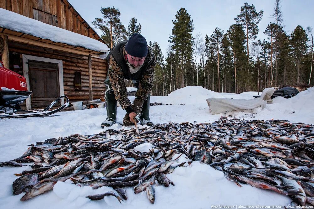 Рыбалка на севере. Рыболовство в Сибири. Рыболовство в тайге. Промысел в тайге. Рыбалка на севере 2022