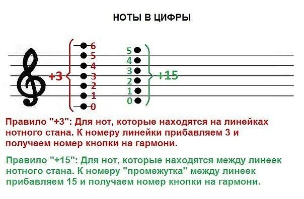 Самоучитель игры на гармошке для начинающих. Нотная грамота для гармошки. Аккорды на гармони схема. Ноты для гармошки для начинающих в цифрах. Ноты для гармошки в цифрах.