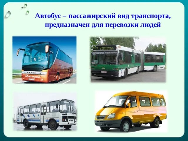 Виды автобусов