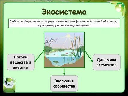 Живая экосистема примеры