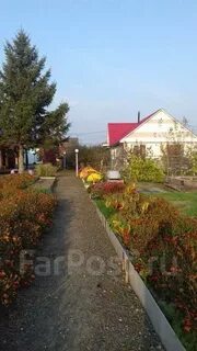 Погода пожарское приморский рп5