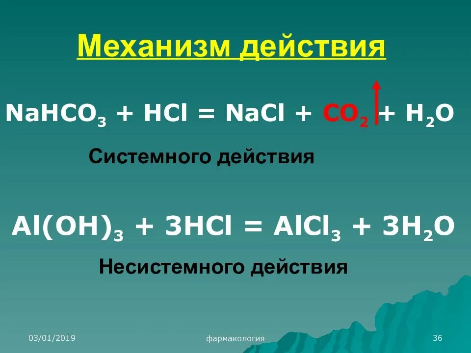 Naso3