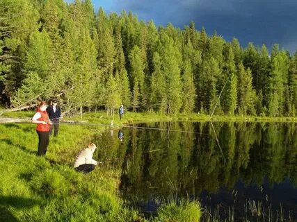 Озеро черное рыбалка