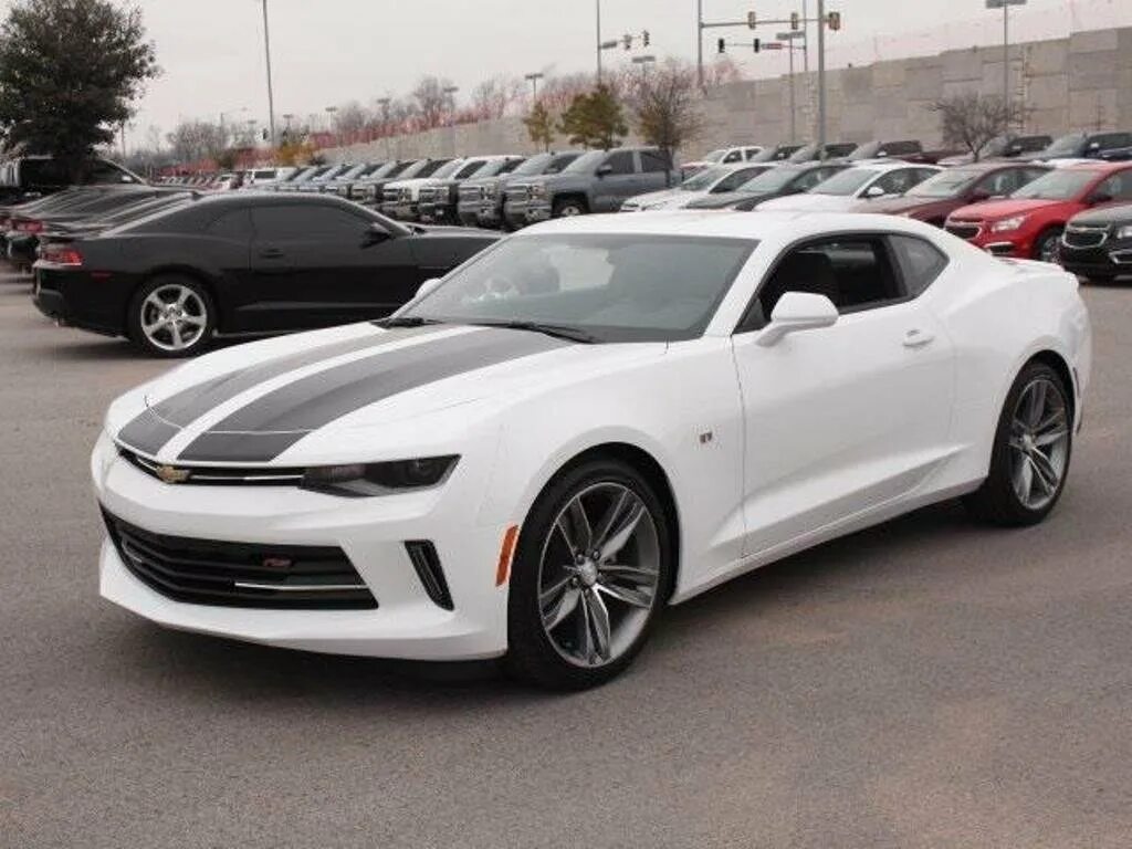 Шевроле камаро купить в россии. Chevrolet Camaro 2016 белая. Chevrolet Camaro 2016 White. Chevrolet Camaro белый. Шевроле Камаро 2021 белый.