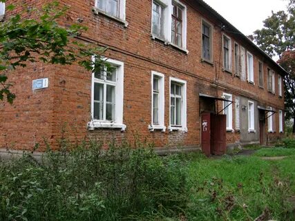 Улицы в александрове